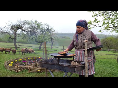 Homemade Chicken Burger & Potato Nuggets: A Delicious Combo 🍔🥔🍗