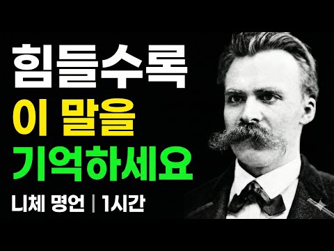 나를 죽이지 못하는 것은 나를 더 강하게 만든다 | 힘들수록 이 말을 기억하세요 | 니체 명언 오디오북 E01