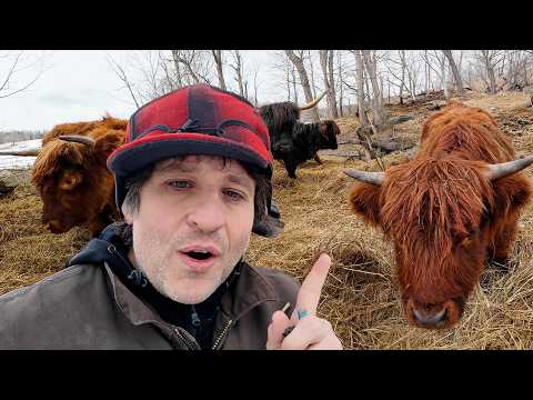 Maple Season Begins on the Farm (It's Finally Here)