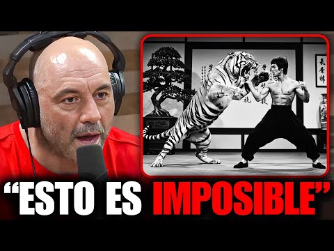 Nadie Creía Estas Historias de Bruce Lee Hasta Ver Este Video
