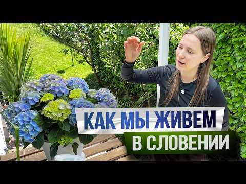 Жизнь в Словении: Цены, Магазины и НАШ САД в Любляне