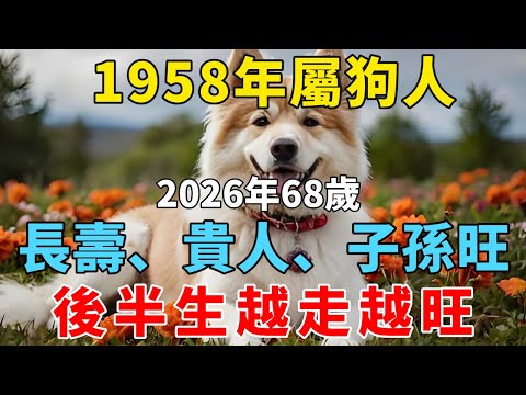 1958年屬狗人：2026年68歲，長壽、貴人、子孫旺，後半生越走越旺！【禪悟】#生肖 #運勢 #風水 #財運#命理
