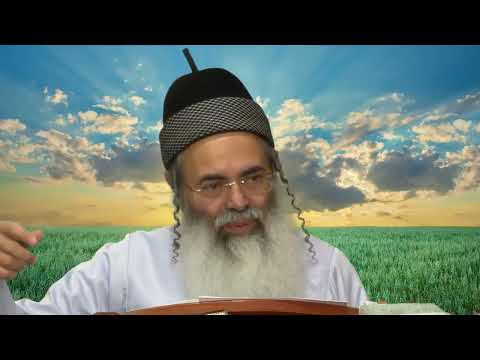 פרשת מקץ | מדוע לא גילה יוסף ליעקב אביו שהוא חי? • הרב אמנון יצחק