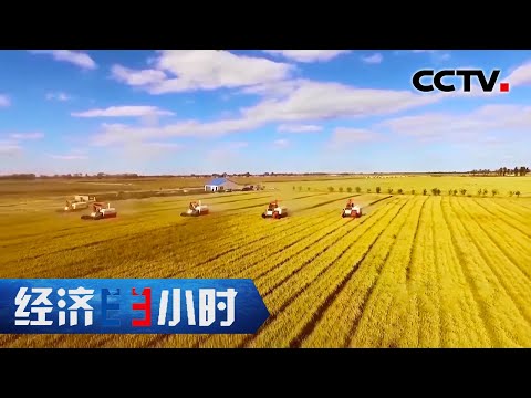 新纪录！袁隆平90岁生日愿望成真，杂交水稻亩产超3000斤！「经济半小时」 20201202 | CCTV财经