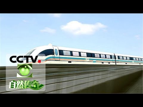 《走近科学》 给磁浮列车提速：2.0版磁浮列车 世界首列短定子直线电机快速磁浮列车 20181102 | CCTV走近科学官方频道