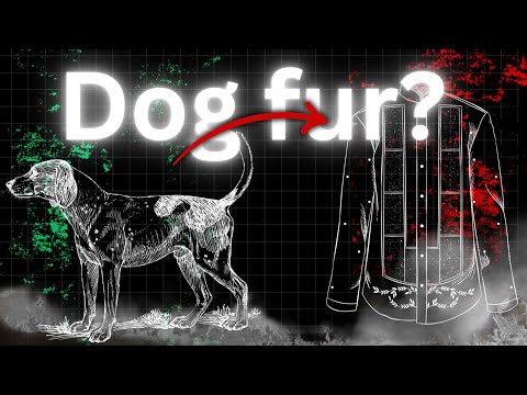 Why Can’t I Wear clothes Made using dog fur? (Episode 1 of “Weird Fashion questions I ask myself”)