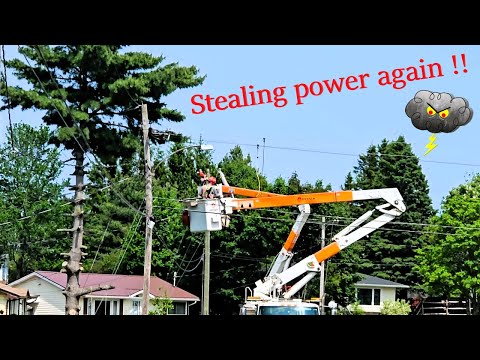Botched transformer Heist - Stealing power - Rotten crossarms!