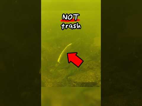 I Found Trash In The River