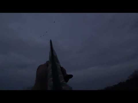 Great Late Autumn Duck Hunting 2025