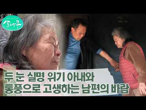 [소나무] 당뇨 합병증으로 실명 위기 아내와 통풍으로 고생하는 남편의 2가지 소원