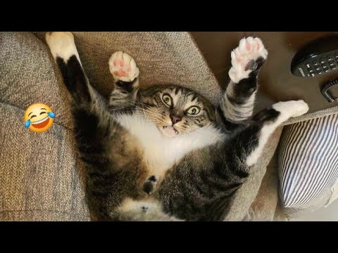 🤯Animals That Broke The Internet🔥