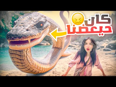 قررنا نعمل اول مغامره في رحلتنا | لقينا ثعبان في البحر 😱
