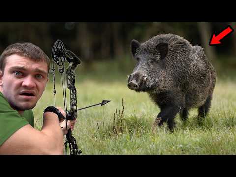 I Hunted Wild Hogs with Bow and Arrow!