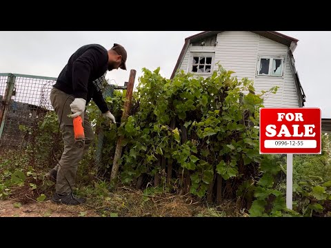 I BOUGHT A COUNTRY HOUSE WITHOUT LOOKING. I'm starting the reconstruction. Day 1