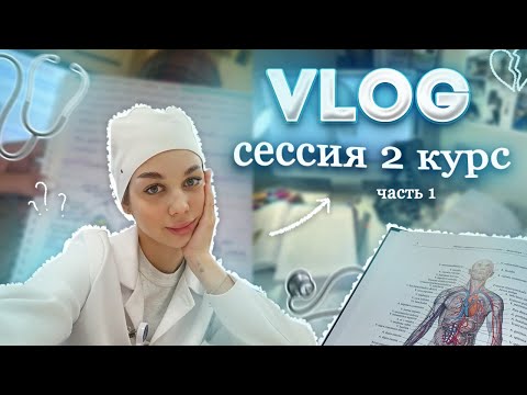 VLOG: ЭКЗАМЕН ПО АНАТОМИИ | 266 ВОПРОСОВ ЗА 3 ДНЯ