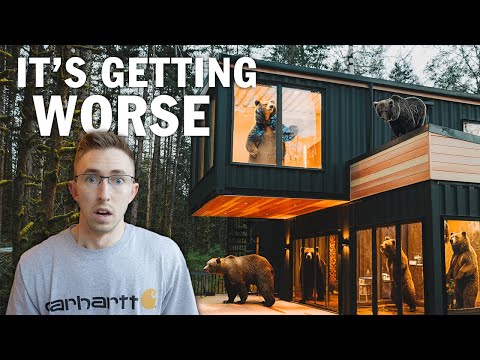 I Have a BEAR Problem at my Airbnb
