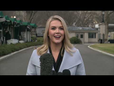 RAW: White House Press Secretary Karoline Leavitt on Elon Musk's role at White House
