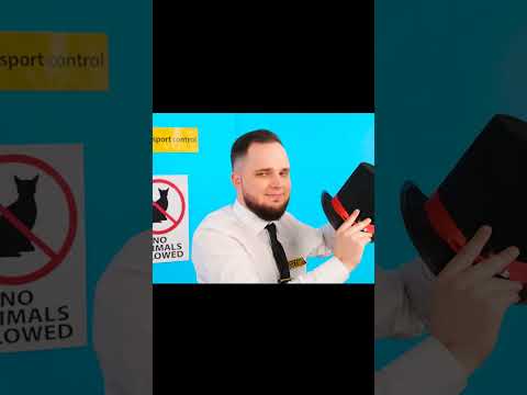 magician was help girl