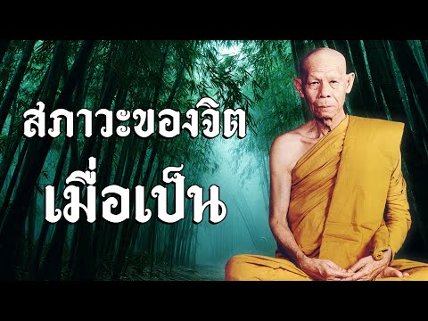 สภาวะของจิต เมื่อเป็นสมาธิ #หลวงพ่อพุธ ฐานิโย