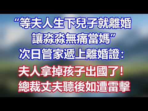 “等夫人生下兒子就離婚，讓淼淼無痛當媽”，次日管家遞上離婚證：夫人拿掉孩子出國了！總裁丈夫聽後如遭雷擊