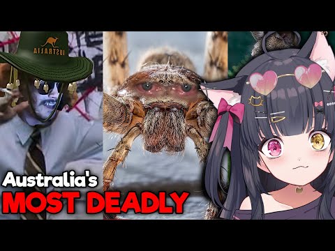 IS AUSTRALIA REAL?! | Parz Certified Australia REACTION