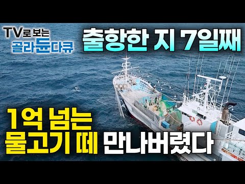 A Sea of Gold: Korea’s 100-Boat Battle for Jeju’s Billion-Won Yellow Croaker Catch #PICKDOCU