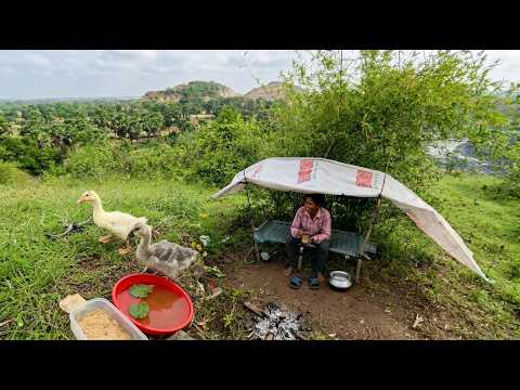 Outdoor Adventure Camping On The Mountain