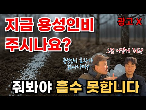 Winter Phosphorus Fertilizers Are Virtually Ineffective | When and How Should I Apply Phosphorus ...