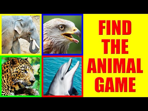 Find the WILD Animal Sound | Listening Game for Kids, Preschoolers and Kindergarten