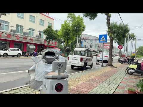 20250918-中國江蘇省鹽城市鹽都區大縱湖鎮鎮區隨拍 #江南 #旅行 #旅拍