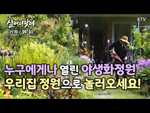 (충북 충주/297회) 야생화처럼 자유롭고 행복하게 삽니다 koreatv, wildflowers, garden, country life