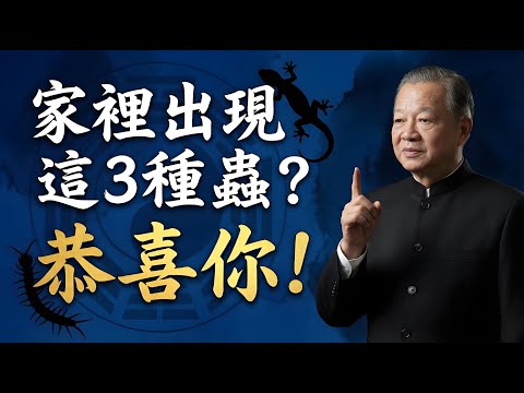 家裡出現這3種蟲？恭喜你！這是老天爺派來的「風水信使」，看懂了全家改運！#曾仕強 #易经 #人生智慧 #情感 #人際關係