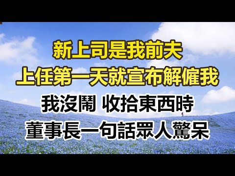 新上司是我前夫，上任第一天就宣布解僱我，我沒鬧 收拾東西時，董事長一句話眾人驚呆#幸福敲門 #為人處世 #生活經驗 #情感故事