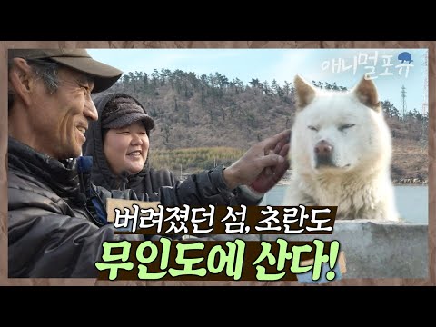 버려졌던 섬, 무인도에 살기로 한 부부⛰ 어느 날 개가 신발 한 짝을 물고 사라져버리는데.. | 꿈꾸는 섬 초란도 | KBS 인간극장 2017 방송