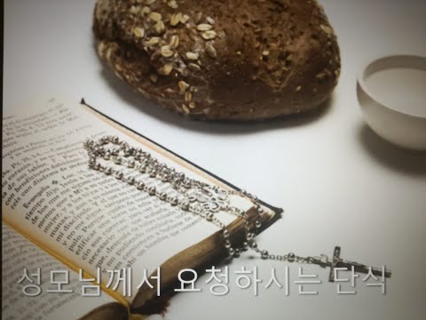 1부 성모님께서 요청하시는 단식의 의미 임 파우스티나 수녀 11032021