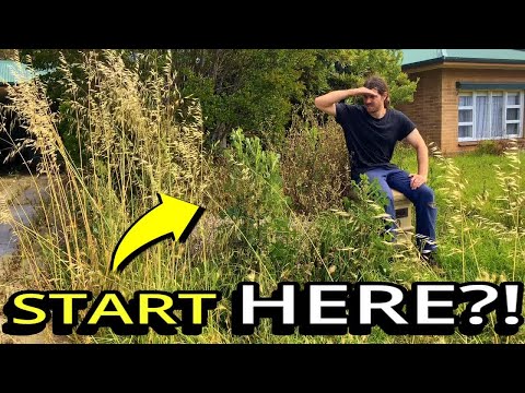 The DARK Story Behind This NEGLECTED Dream House