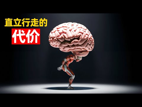 满身全是Bug？为什么说人类是地球上设计的最“失败”的成功物种？｜睡前科学故事