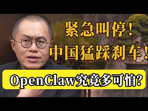OpenClaw到底有多可怕？中國為何猛踩煞車「養龍蝦」？再不叫停，老底都要挖出來了！ #openclaw #人工智能 #ai #圆桌派 #许子东 #马家辉 #梁文道  #观复嘟嘟 #马未都
