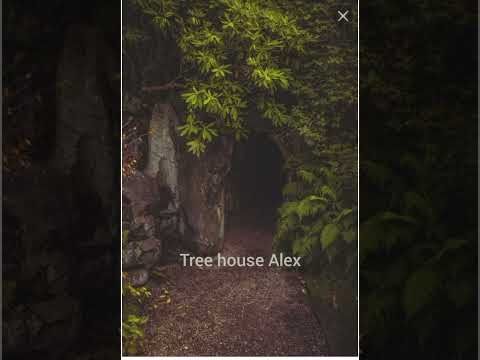 ♪♡ песни в стиле goblincore♡♪