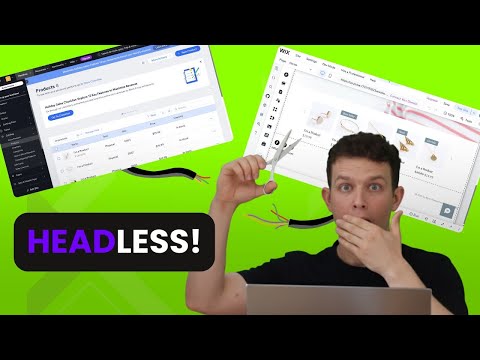How to Behead Your Wix Website (and Keep the Good Parts) - Intro to Wix Headless for Vibe Coders