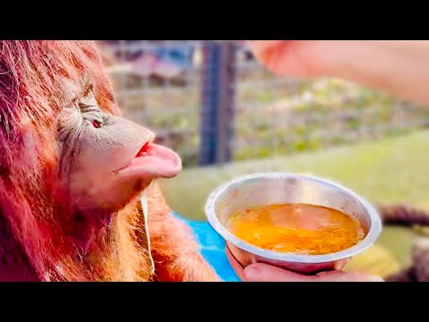 Дана  ВЫТИРАЕТ СЛЕЗЫ полотенцем и ждет когда к ней приедет Олег Зубков!