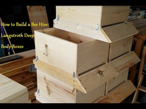 How To Build A Beehive: Langstroth Deep Body