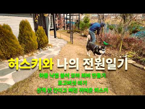 뒤뜰 마당 낙엽 쓸어 모아 퇴비 만들기/표고버섯 따기/농기계 월동준비/허스키와 함께하는 전원일기