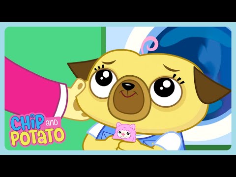 Chip and Potato - Camiseta de pijama de Chip 🐭 | Dibujos animados portugueses | WildBrain Pequeninos