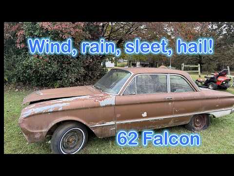 Will it run? Weather NOT permitting! 1962 Ford Falcon barn car sitting for decades!
