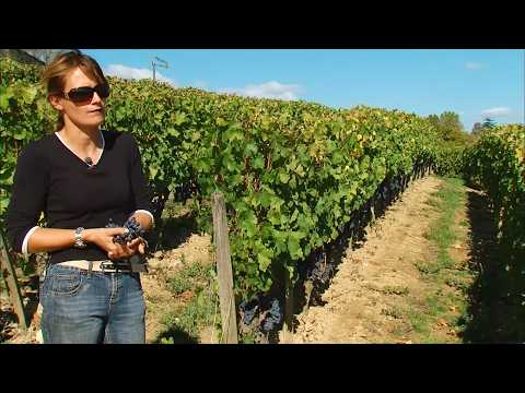 Bordeaux: Château Cheval Blanc and Château Ausone, the Finest French Wines