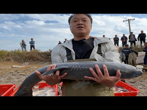大表哥赚的最轻松的一次，塘主也是非常的大气！说不让大表哥亏就不让#捕鱼#户外#野外#抓鱼#三农