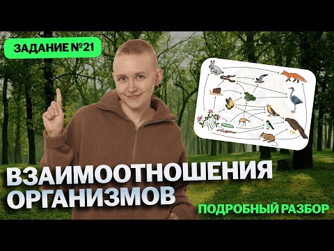 Task 21 | Everything you need to know for the OGE in Biology | Elena Zelenskaya | Umskul
