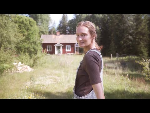 Why I've Been Gone (Story 106)