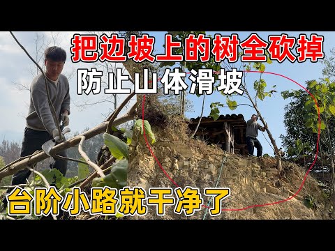 To prevent landslides, all the trees on the slope were cut down, eliminating the biggest safety h...